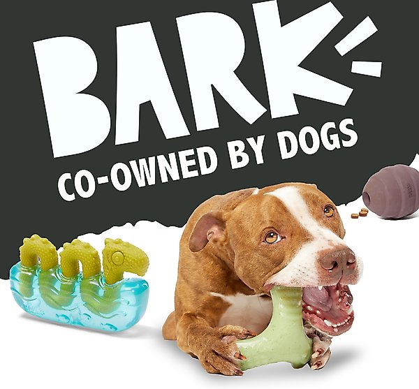 Show full view: BARK Super Chewer Busy Bee Treat Spreading Tough Squeaky Dog Chew Toy, Black slide 6 of 7