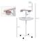 Show in main carousel: PawHut Portable Bird Play Stand, White, 23.5 x 23.5 x 54.25-in slide 3 of 10
