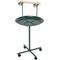 Show in main carousel: PawHut Bird Play Stand with Wheels, Green, 23.5 x 23.5 x 48-in slide 1 of 9