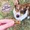 Show in main carousel: Old Mother Hubbard by Wellness Mother's Solutions Hip & Joint Natural Oven-Baked Biscuits Dog Treats, 20-oz bag slide 6 of 11