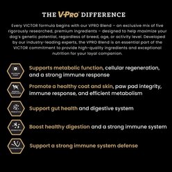 VICTOR Classic Hi-Pro Plus Large Breed Puppy Dry Dog Food, 15-lb bag slide 2 of 9