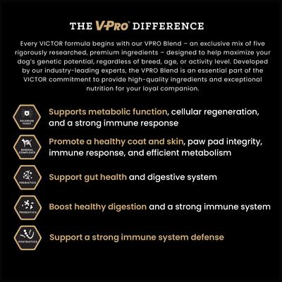 Show full view: VICTOR Classic Hi-Pro Plus Large Breed Puppy Dry Dog Food, 15-lb bag slide 5 of 11