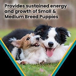 VICTOR Classic Hi-Pro Plus Small & Medium Breed Puppy Dry Dog Food, 15-lb bag slide 2 of 9