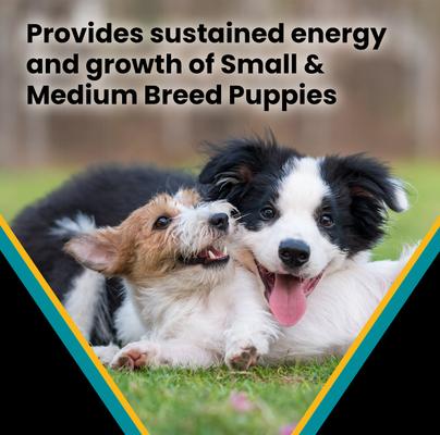 Show full view: VICTOR Classic Hi-Pro Plus Small & Medium Breed Puppy Dry Dog Food, 5-lb bag slide 6 of 11