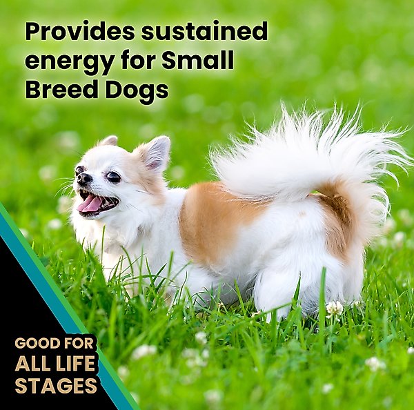 VICTOR Classic Hi-Pro Plus Small Breed Adult Dry Dog Food