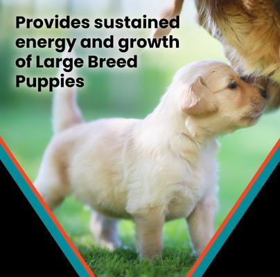 Show full view: VICTOR Classic Hi-Pro Plus Large Breed Puppy Dry Dog Food, 15-lb bag slide 6 of 11