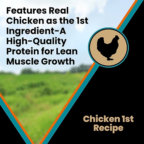 VICTOR Classic Hi-Pro Plus Large Breed Puppy Dry Dog Food