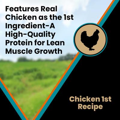 VICTOR Classic Hi-Pro Plus Large Breed Puppy Dry Dog Food