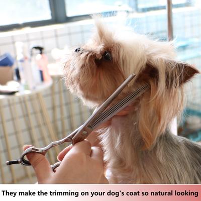 Show full view: HASHIMOTO Blending Dog & Cat Grooming Shears, Silver, 7.0-in slide 5 of 5