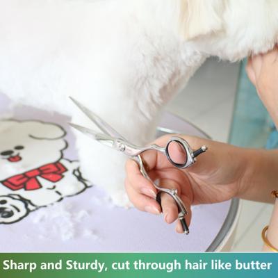 Show full view: HASHIMOTO Straight Dog & Cat Grooming Scissors, Silver, 7.0-in slide 4 of 5