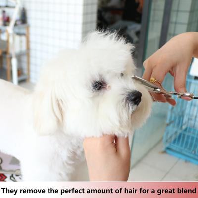 Show full view: HASHIMOTO Blending Dog & Cat Grooming Shears, Silver, 7.0-in slide 4 of 5