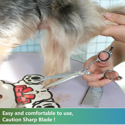 Show full view: HASHIMOTO Straight Dog & Cat Grooming Scissors, Silver, 7.0-in slide 5 of 5