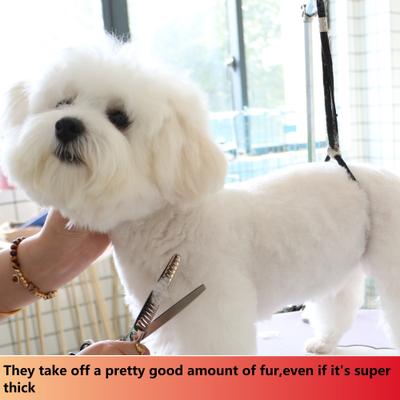 Show full view: HASHIMOTO Chunker Dog & Cat Grooming Scissors, Silver, 7.0-in slide 4 of 5