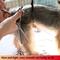 Show in main carousel: HASHIMOTO Chunker Dog & Cat Grooming Scissors, Silver, 7.0-in slide 5 of 5