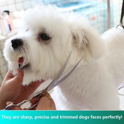 Show full view: HASHIMOTO Curved Dog & Cat Grooming Scissors, Silver, 7.5-in slide 4 of 6