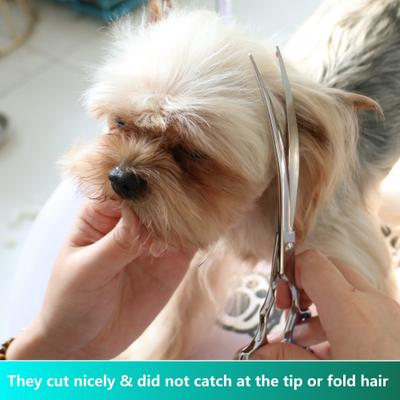 Show full view: HASHIMOTO Curved Dog & Cat Grooming Scissors, Silver, 7.5-in slide 5 of 6