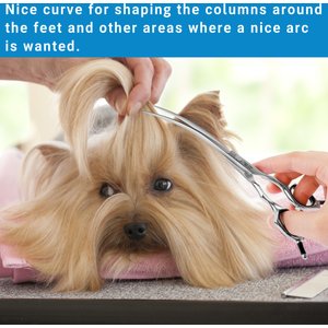 HASHIMOTO Curved Dog & Cat Grooming Scissors, Silver, 6.5-in