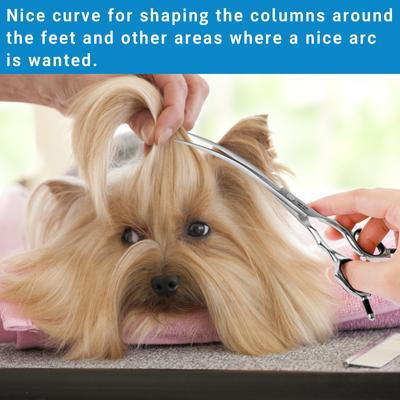 Show full view: HASHIMOTO Curved Dog & Cat Grooming Scissors, Silver, 6.5-in slide 6 of 7