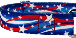 Country Brook Petz Star Spangled Martingale Dog Collar, Medium: 15 to 21-in neck, 1-in wide slide 2 of 7