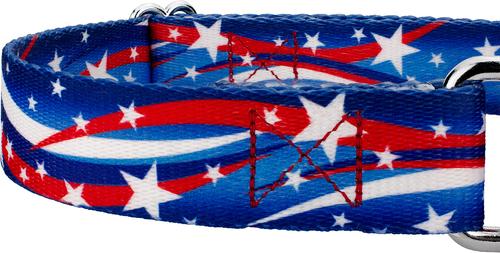 Show full view: Country Brook Petz Star Spangled Martingale Dog Collar, Medium: 15 to 21-in neck, 1-in wide slide 7 of 7