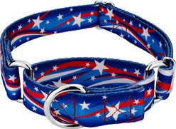 Country Brook Petz Star Spangled Martingale Dog Collar, Medium: 15 to 21-in neck, 1-in wide