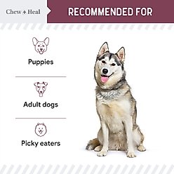 Chew + Heal Senior 12-In-1 Advanced Multivitamin Soft Chews Supplement for Senior Dogs, 60 count slide 2 of 9