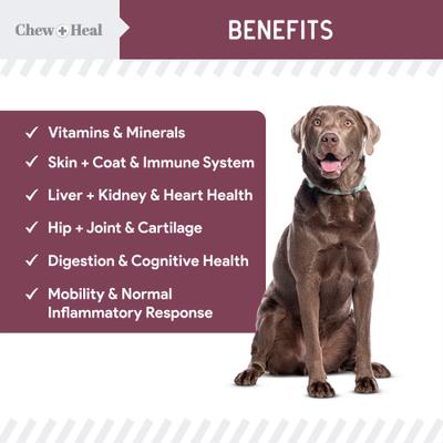 Show full view: Chew + Heal Senior 12-In-1 Advanced Multivitamin Soft Chews Supplement for Senior Dogs, 120 count slide 3 of 11