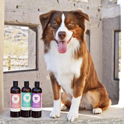 Show full view: kin+kind Kin Organics Fig & Cedar Oatmeal Dog Shampoo, 12-fl oz bottle slide 9 of 9