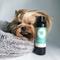 Show in main carousel: kin+kind Kin Organics Jasmine & Lily Dog Shampoo, 12-fl oz bottle slide 7 of 11