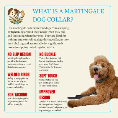 Show full view: Country Brook Petz HossFit Jr Tie Dye Stripes Wide Martingale Dog Collar, Large slide 8 of 9