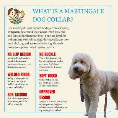 Show full view: Country Brook Petz HossFit Jr Sky Manadala Wide Martingale Dog Collar, Blue, X-Large: 23 to 31-in neck, 1.5-in wide slide 8 of 9