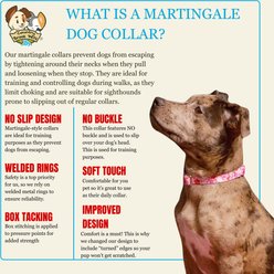 Country Brook Petz HossFit Jr Romantic Hearts Wide Martingale Dog Collar, Red, Medium: 15 to 21-in neck, 1.5-in wide slide 2 of 8