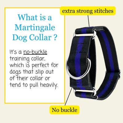 Show full view: Country Brook Petz HossFit Jr Thin Blue Line Wide Martingale Dog Collar, Large slide 4 of 9