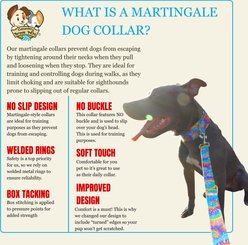 Country Brook Petz HossFit Jr Trippy Doggo Wide Martingale Dog Collar, Medium slide 2 of 8