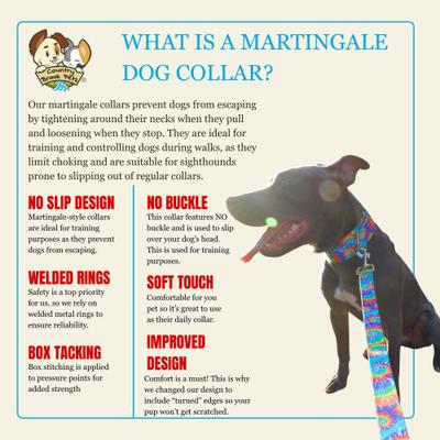 Show full view: Country Brook Petz HossFit Jr Trippy Doggo Wide Martingale Dog Collar, Large slide 5 of 8