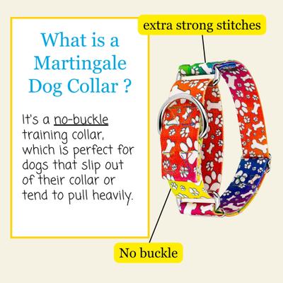 Show full view: Country Brook Petz HossFit Jr Trippy Doggo Wide Martingale Dog Collar, Large slide 3 of 8