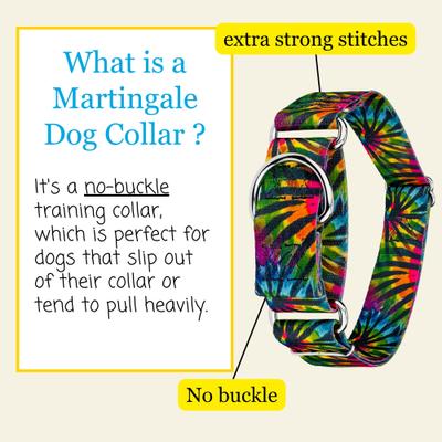 Show full view: Country Brook Petz HossFit Jr Tie Dye Stripes Wide Martingale Dog Collar, Large slide 6 of 9