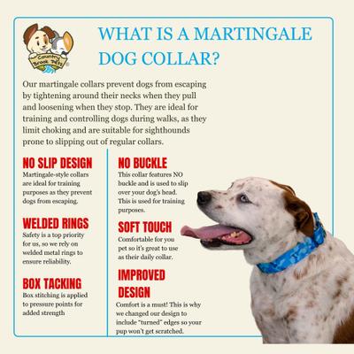 Show full view: Country Brook Petz HossFit Jr Woodland Bone Camo Wide Martingale Dog Collar, Large, Blue slide 8 of 9