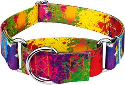 Country Brook Petz HossFit Jr Paint Splatter Wide Martingale Dog Collar, Medium