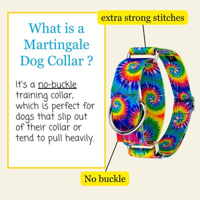 Show full view: Country Brook Petz HossFit Jr Classic Tie Dye Wide Martingale Dog Collar, Large slide 5 of 9