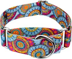 Country Brook Petz HossFit Jr Sky Manadala Wide Martingale Dog Collar, Blue, Medium: 15 to 21-in neck, 1.5-in wide