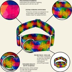 Country Brook Petz HossFit Jr Kaleidoscope Wide Martingale Dog Collar, X-Large slide 2 of 8