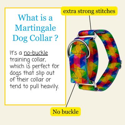 Show full view: Country Brook Petz HossFit Jr Kaleidoscope Wide Martingale Dog Collar, Large slide 3 of 8