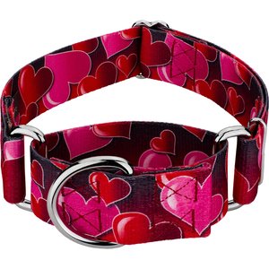 Country Brook Petz HossFit Jr Romantic Hearts Wide Martingale Dog Collar, Red, Large: 18 to 26-in neck, 1.5-in wide