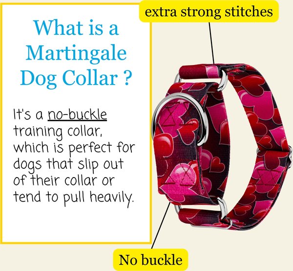 Country Brook Petz Romantic Hearts Polyester Martingale Dog Collar, Red
