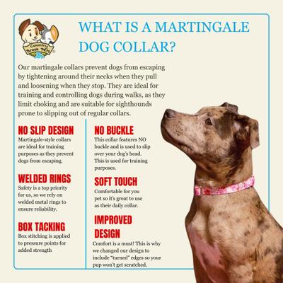 Show full view: Country Brook Petz HossFit Jr Puppy Love Wide Martingale Dog Collar, Large slide 8 of 9