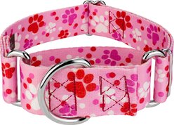 Country Brook Petz HossFit Jr Puppy Love Wide Martingale Dog Collar, Large