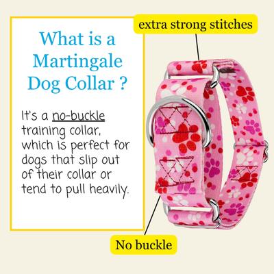 Show full view: Country Brook Petz HossFit Jr Puppy Love Wide Martingale Dog Collar, Large slide 6 of 9