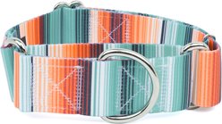 Country Brook Petz HossFit Jr Sedona Stripes Wide Martingale Dog Collar, Multi-Colored, Large: 18 to 26-in neck, 1.5-in wide