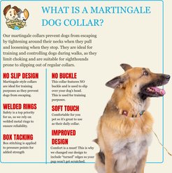 Country Brook Petz HossFit Jr Native Arizona Wide Martingale Dog Collar, Large slide 2 of 9